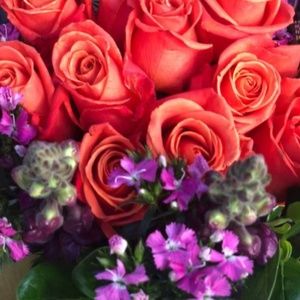 Meet your Posher, Ronnie